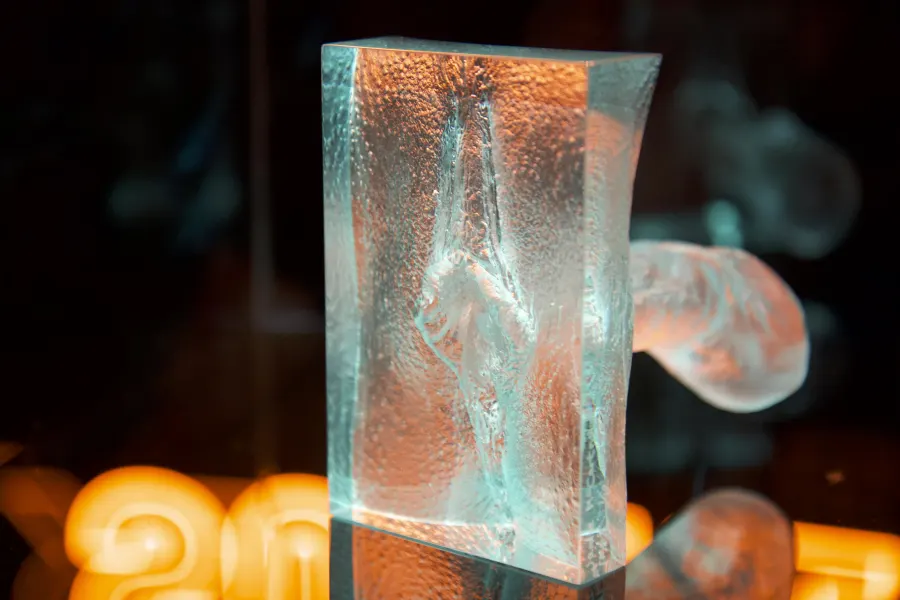 Museum of desire Practical Info