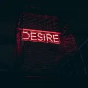 Museum Of Desire - Instafeed 05